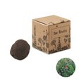 Selected product image