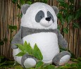Selected product image